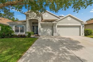 6736 PINE SPRINGS DRIVE, WESLEY CHAPEL, FL 33545 - MLS#MFRTB8505855