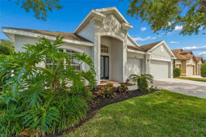 6736 PINE SPRINGS DRIVE, WESLEY CHAPEL, FL 33545 - MLS#MFRTB8505855