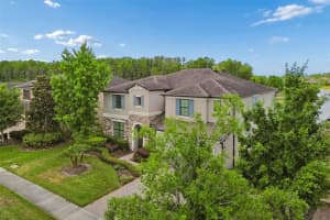 13218 BATTEN LANE, ODESSA, FL 33556 - MLS#MFRTB8505905