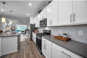 6040 SHOREBIRD BRANCH, LAND O LAKES, FL 34638 - MLS#MFRTB8505909