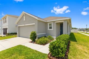 2959 COMMON FIG RUN, WESLEY CHAPEL, FL 33543 - MLS#MFRTB8505922