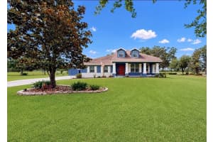 13101 DONE GROVEN DRIVE, DOVER, FL 33527 - MLS#MFRTB8505926