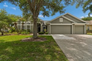 10243 Shadow Branch Dr, TAMPA