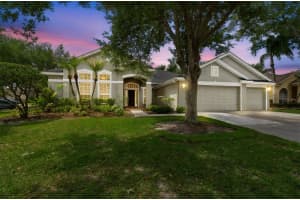10243 SHADOW BRANCH DRIVE, TAMPA, FL 33647 - MLS#MFRTB8505934