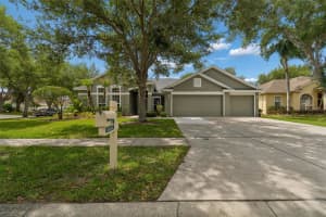 10243 SHADOW BRANCH DRIVE, TAMPA, FL 33647 - MLS#MFRTB8505934