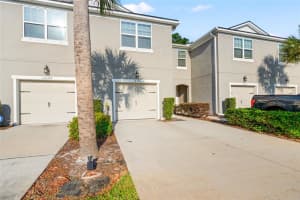 14124 DAMSELFLY DRIVE, TAMPA, FL 33625 - MLS#MFRTB8505935