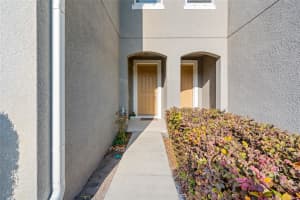 14124 DAMSELFLY DRIVE, TAMPA, FL 33625 - MLS#MFRTB8505935