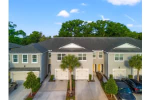 14124 DAMSELFLY DRIVE, TAMPA, FL 33625 - MLS#MFRTB8505935