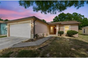 8445 RIVER DUNE STREET, TAMPA, FL 33617 - MLS#MFRTB8505971