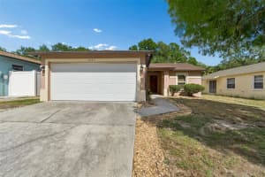 8445 RIVER DUNE STREET, TAMPA, FL 33617 - MLS#MFRTB8505971