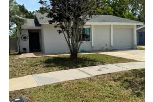 10617 FAIRFIELD VILLAGE DRIVE, TAMPA, FL 33624 - MLS#MFRTB8506010