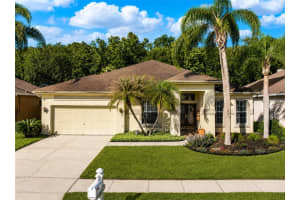 29520 Forest Glen Dr, WESLEY CHAPEL