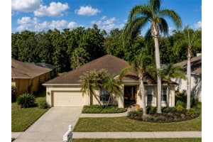 29520 FOREST GLEN DRIVE, WESLEY CHAPEL, FL 33543 - MLS#MFRTB8506018