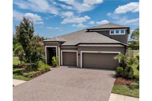 10802 ROLLING MOSS ROAD, TAMPA, FL 33647 - MLS#MFRTB8506032