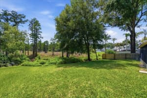 2804 PALAMORE DRIVE, TAMPA, FL 33618 - MLS#MFRTB8506041