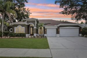15720 BEREA DRIVE, ODESSA, FL 33556 - MLS#MFRTB8506049