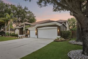 15720 BEREA DRIVE, ODESSA, FL 33556 - MLS#MFRTB8506049