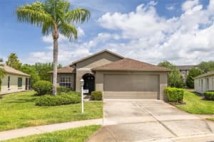 1701 WESTERHAM LOOP, TRINITY, FL 34655 - MLS#MFRTB8506051