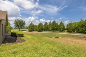 1701 WESTERHAM LOOP, TRINITY, FL 34655 - MLS#MFRTB8506051