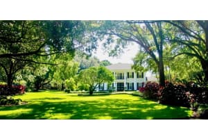 16203 Avila Blvd, TAMPA