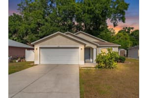 4631 EAGLE RANCH DRIVE, ZEPHYRHILLS, FL 33542 - MLS#MFRTB8506108