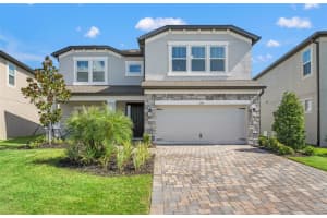 5945 NEWBERRY PINES AVENUE, WESLEY CHAPEL, FL 33545 - MLS#MFRTB8506109