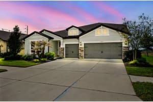 11701 BRIGHTON KNOLL LOOP, RIVERVIEW, FL 33579 - MLS#MFRTB8506113