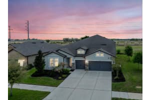 11701 BRIGHTON KNOLL LOOP, RIVERVIEW, FL 33579 - MLS#MFRTB8506113