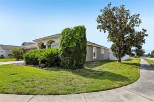 30400 RANDALL MANOR STREET, WESLEY CHAPEL, FL 33545 - MLS#MFRTB8506119