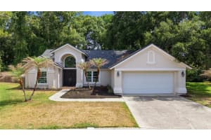 16107 Cadbury Ct, TAMPA