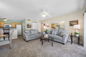 3301 CRYSTAL COURT, PALM HARBOR, FL 34685 - MLS#MFRTB8506144