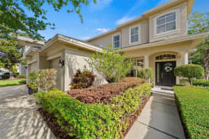 519 HARBOR GROVE CIRCLE, SAFETY HARBOR, FL 34695 - MLS#MFRTB8506147