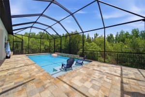 30567 CHESAPEAKE BAY DRIVE, WESLEY CHAPEL, FL 33543 - MLS#MFRTB8506151