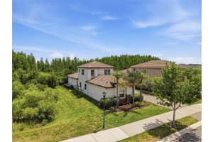 30567 CHESAPEAKE BAY DRIVE, WESLEY CHAPEL, FL 33543 - MLS#MFRTB8506151