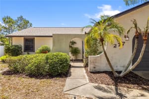 277 OVERSTREET COURT, PALM HARBOR, FL 34683 - MLS#MFRTB8506252