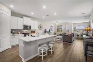 11240 CAY SPRUCE WAY, SAN ANTONIO, FL 33576 - MLS#MFRTB8506263
