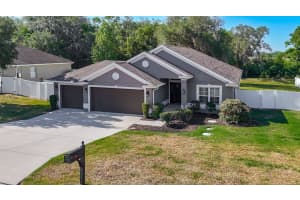 12244 LOOPBACK DRIVE, SAN ANTONIO, FL 33576 - MLS#MFRTB8506279