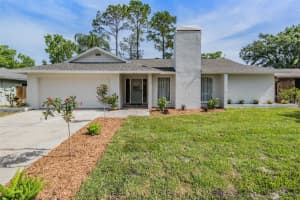 4109 Summerdale Dr, TAMPA