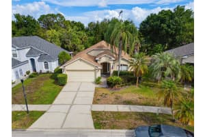 10236 CHARLESTON CORNER ROAD, TAMPA, FL 33635 - MLS#MFRTB8506300