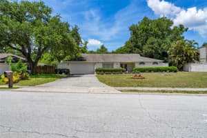 207 DUNBRIDGE DRIVE, PALM HARBOR, FL 34684 - MLS#MFRTB8506304
