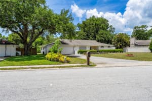 207 DUNBRIDGE DRIVE, PALM HARBOR, FL 34684 - MLS#MFRTB8506304