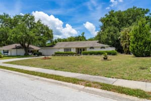 207 DUNBRIDGE DRIVE, PALM HARBOR, FL 34684 - MLS#MFRTB8506304