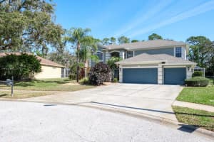 4037 AUSTON WAY, PALM HARBOR, FL 34685 - MLS#MFRTB8506309