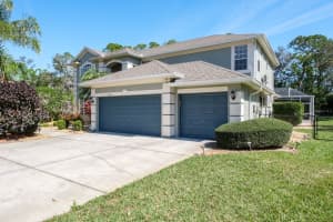 4037 AUSTON WAY, PALM HARBOR, FL 34685 - MLS#MFRTB8506309