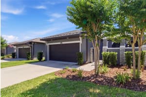 219 VILLA LUNA LANE, LUTZ, FL 33549 - MLS#MFRTB8506310