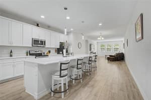 219 VILLA LUNA LANE, LUTZ, FL 33549 - MLS#MFRTB8506310