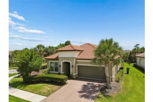 20158 UMBRIA HILL DRIVE, TAMPA, FL 33647 - MLS#MFRTB8506323