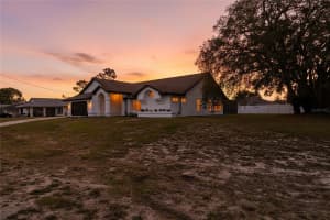 9124 ELIDA ROAD, SPRING HILL, FL 34608 - MLS#MFRTB8506328