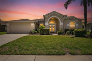 22118 YACHTCLUB TERRACE, LAND O LAKES, FL 34639 - MLS#MFRTB8506345