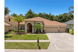 3011 MARBLE CREST DRIVE, LAND O LAKES, FL 34638 - MLS#MFRTB8506351